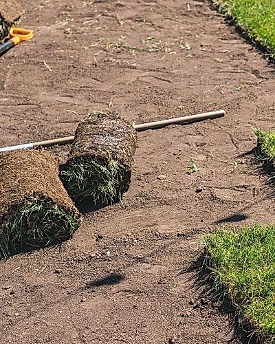 Roll-Out Lawn Production & Installation