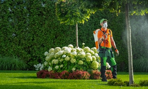 Peyzaj Gübre ve İlaç Uygulamaları: Bahçenizi Sağlıklı ve Güzel Tutmanın Yolları