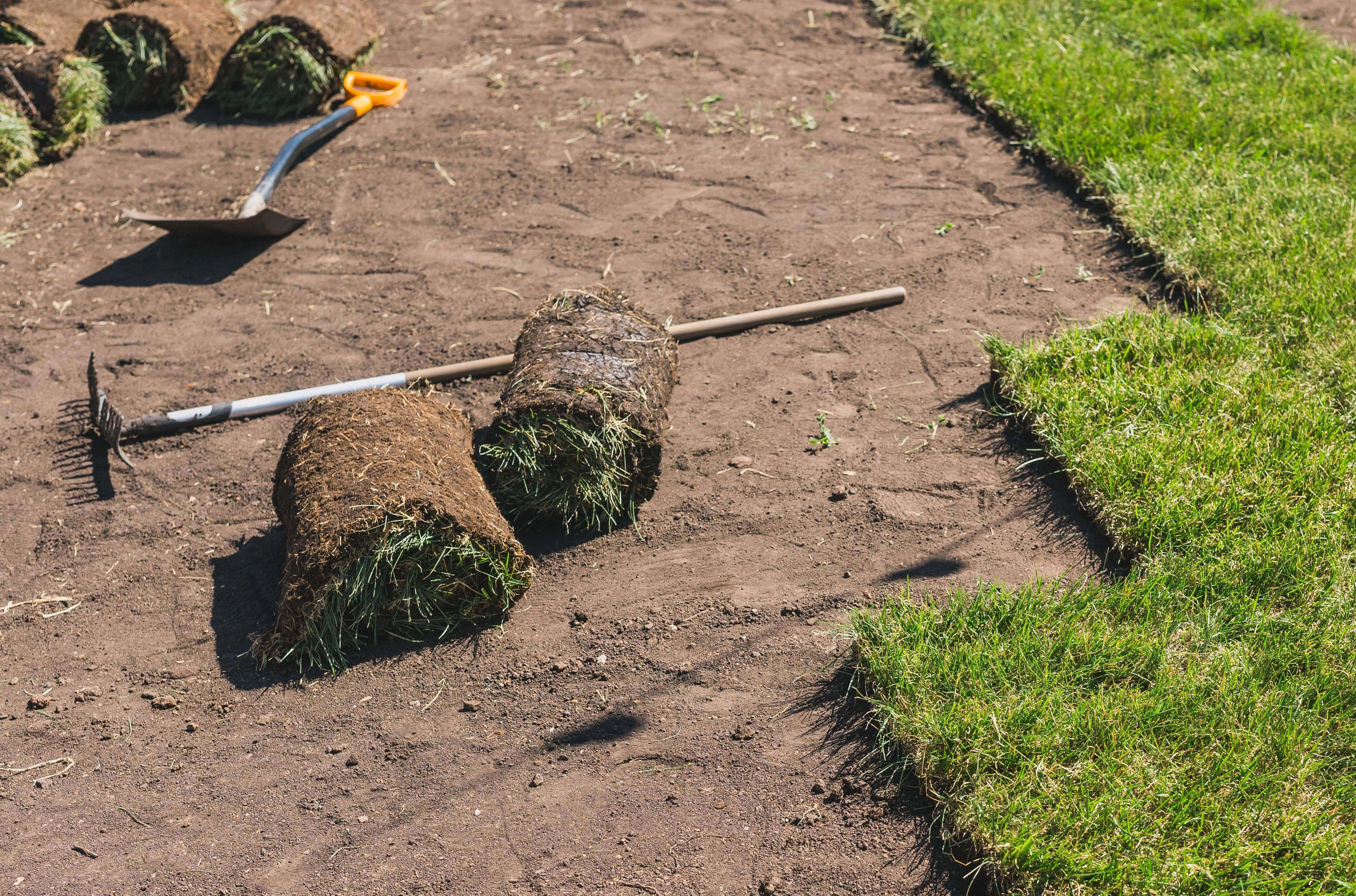 Roll Lawn, Landscape and Garden Care Experts